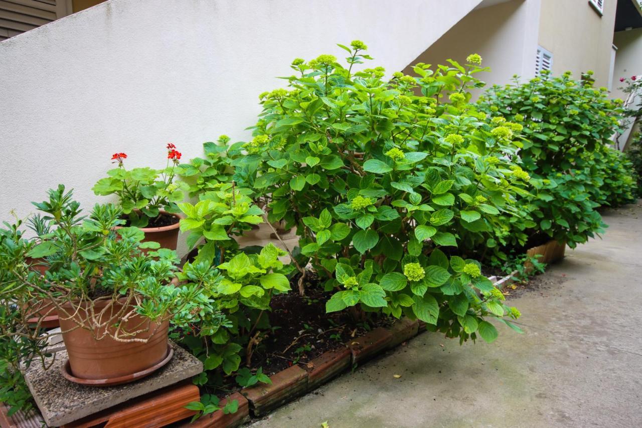 Apartment Passage Дубровник Екстериор снимка